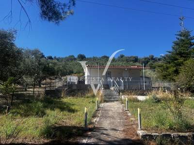 תמונת בית, מסיני, פלופונס למכירה (1)