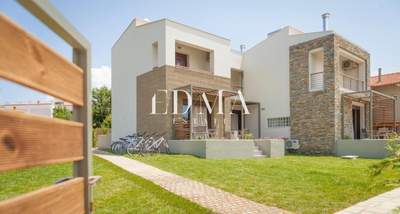 תמונת אריסטוליס למכירה (1)