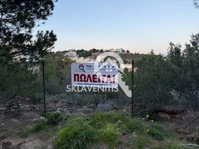 תמונת ראפינה - פיקרמי, אתונה למכירה (0)