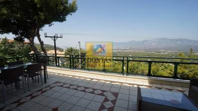 תמונת קיפיסיה, אתונה למכירה (1)