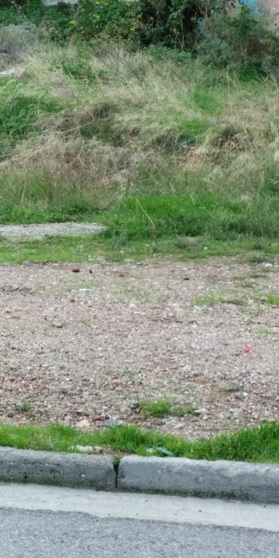 תמונת מגרש, קוקיניה פיראוס, פיראוס, אתונה למכירה (0)