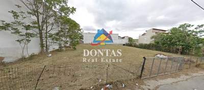 תמונת מגרש, דיוניסוס למכירה (1)