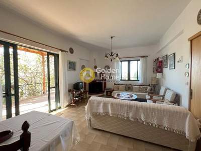 תמונת בית, סרוניקוס, אתונה למכירה (0)