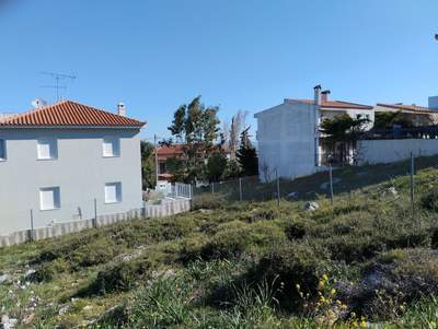 תמונת מגרש, דיוניסוס, אתונה למכירה (1)