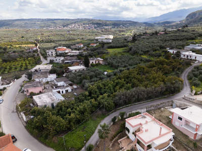 תמונת אפוקורנס, כרתים למכירה (1)