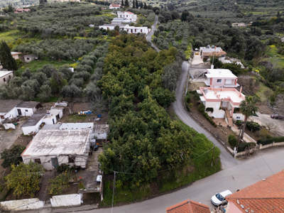 תמונת אפוקורנס, כרתים למכירה (0)