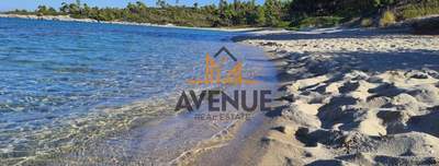 תמונת שטח חקלאי, קסנדרה למכירה (1)