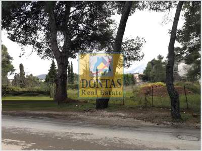 תמונת מגרש, דיוניסוס למכירה (1)