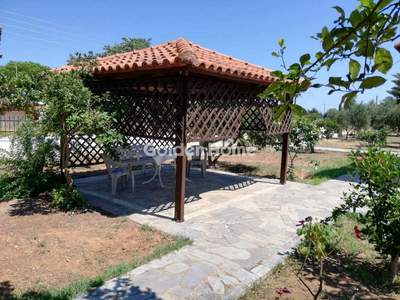 תמונת בית, ניאפולי, רשות מקומית פטרס למכירה (0)