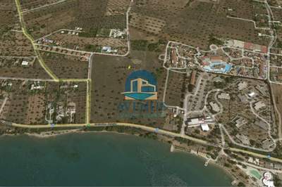 תמונת שטח חקלאי, ארטריה, אוויה למכירה (1)