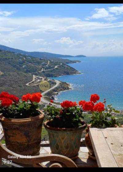 תמונת אנדרוס למכירה (1)