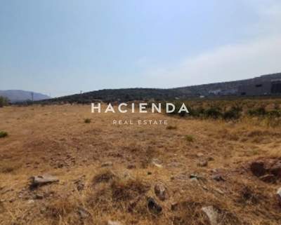 תמונת מגרש, מרקו פולו למכירה (0)