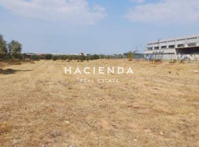 תמונת מגרש, מרקו פולו למכירה (1)