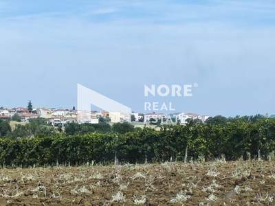 תמונת שטח חקלאי, תרמי למכירה (0)