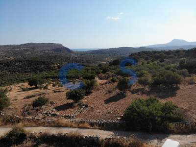 תמונת מגרש, אפוקורנס, כרתים למכירה (1)