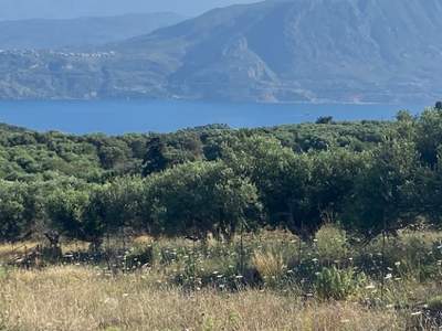 תמונת פאזינוס - סטרנס, חאניה, כרתים למכירה (1)
