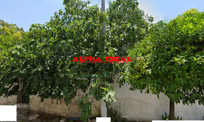 תמונת מגרש, קראטסיני, אתונה למכירה (0)