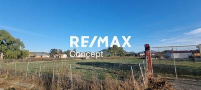 תמונת זקינתוס למכירה (1)