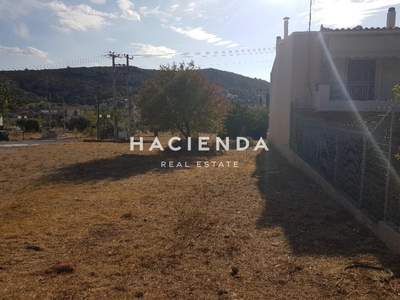 תמונת מגרש, פילי, אתונה למכירה (1)