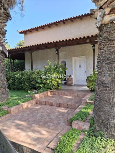 תמונת דופלקס, לוטראקי, פלופונס למכירה (0)