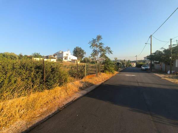 תמונת ראפינה - פיקרמי, אתונה למכירה