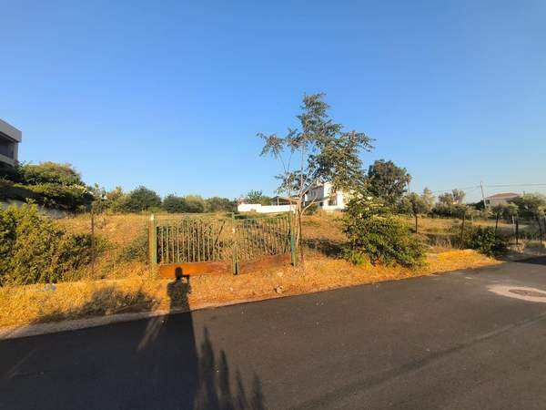 תמונת ראפינה - פיקרמי, אתונה למכירה