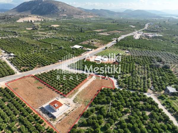 תמונת נאפפליו, פלופונס למכירה (0)