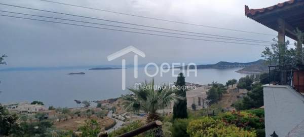 תמונת קורופי למכירה