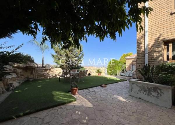 תמונת דאלי למכירה (0)