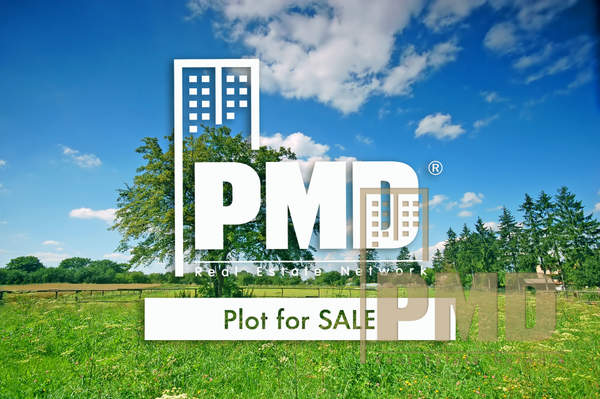 תמונת גליפדה, אתונה למכירה (0)