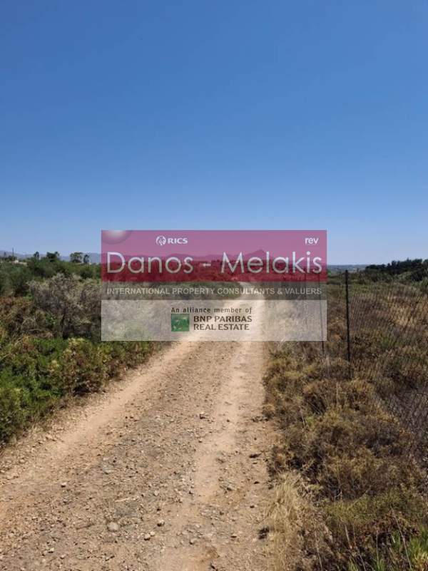 תמונת קואנומפידיאנה, חאניה, כרתים למכירה (1)