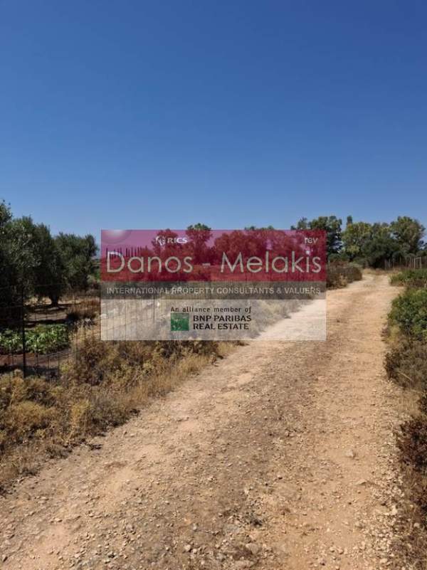 תמונת קואנומפידיאנה, חאניה, כרתים למכירה (0)