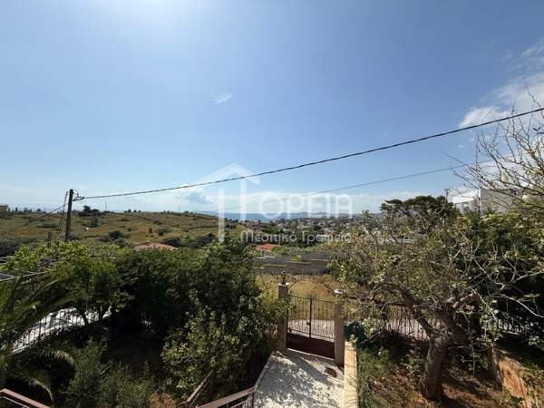 תמונת סרוניקוס למכירה (1)