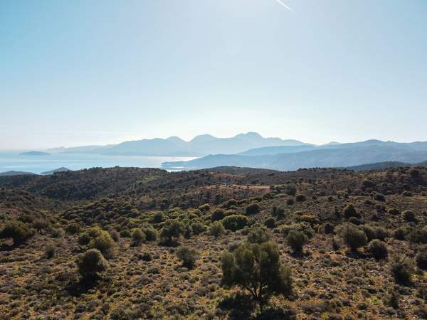 תמונת אגיוס ניקולאוס , כרתים למכירה (1)