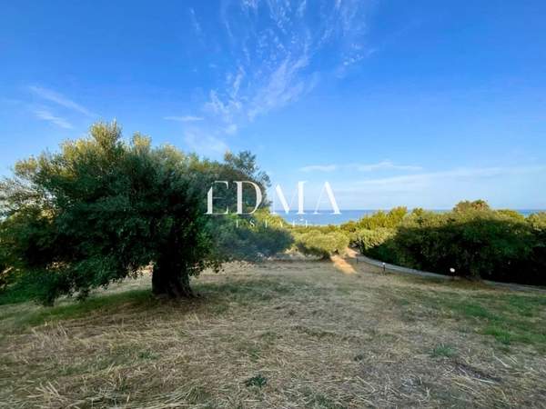 תמונת קסנדרה, כלקידיקי למכירה (1)