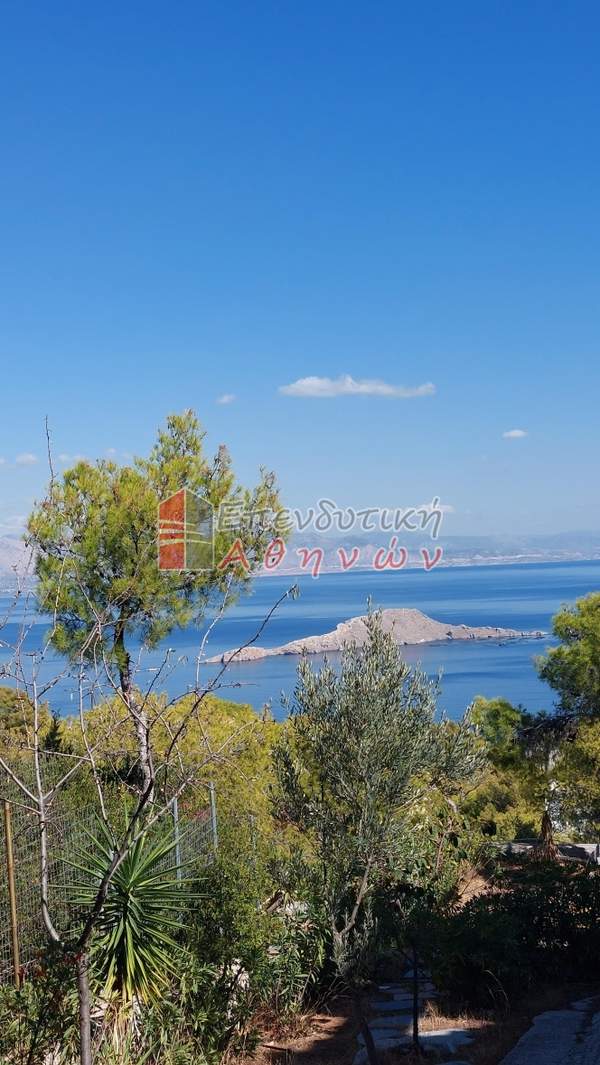 תמונת קורינתיה למכירה (0)