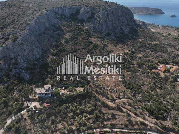 תמונת נאפפליו, פלופונס למכירה (1)