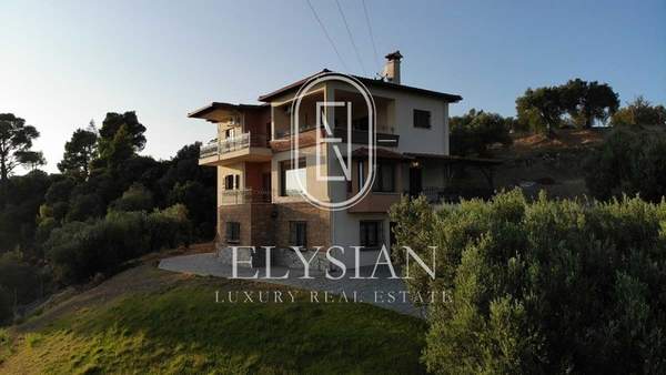 תמונת סיתוניה, כלקידיקי למכירה