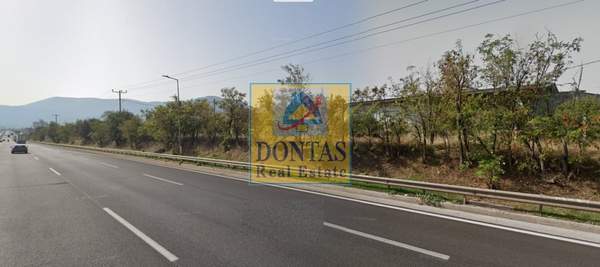 תמונת אורופוס, אתונה למכירה (1)