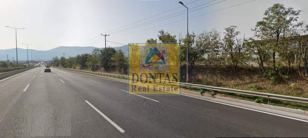 תמונת אורופוס, אתונה למכירה (0)