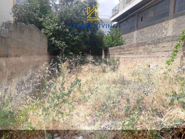 תמונת הרקליו, אתונה למכירה (0)