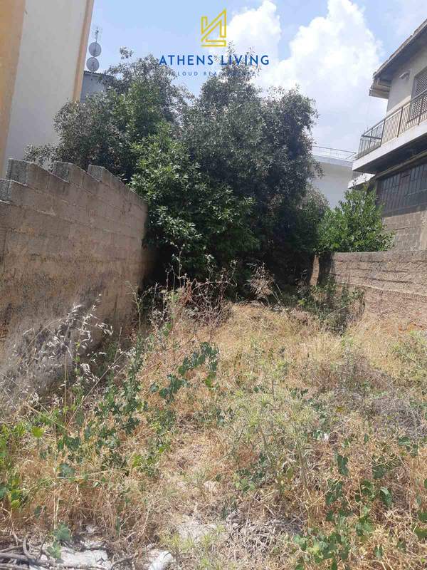 תמונת הרקליו, אתונה למכירה (1)