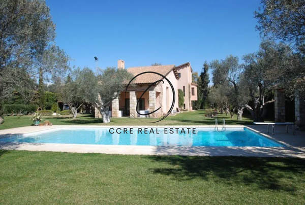 תמונת פאליני למכירה (0)