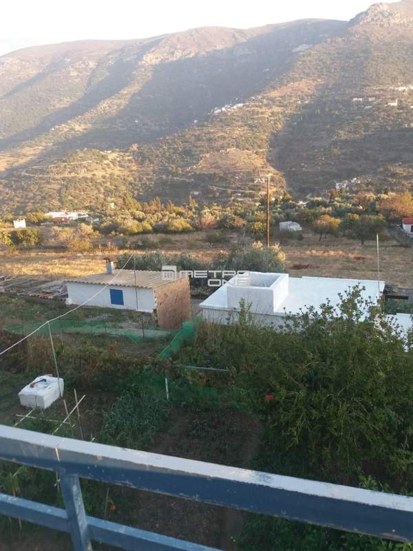 תמונת אנדרוס למכירה (0)