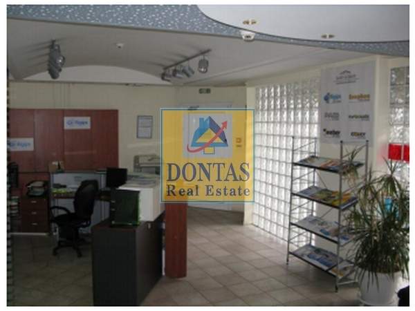 תמונת מטמורפוסי למכירה (1)