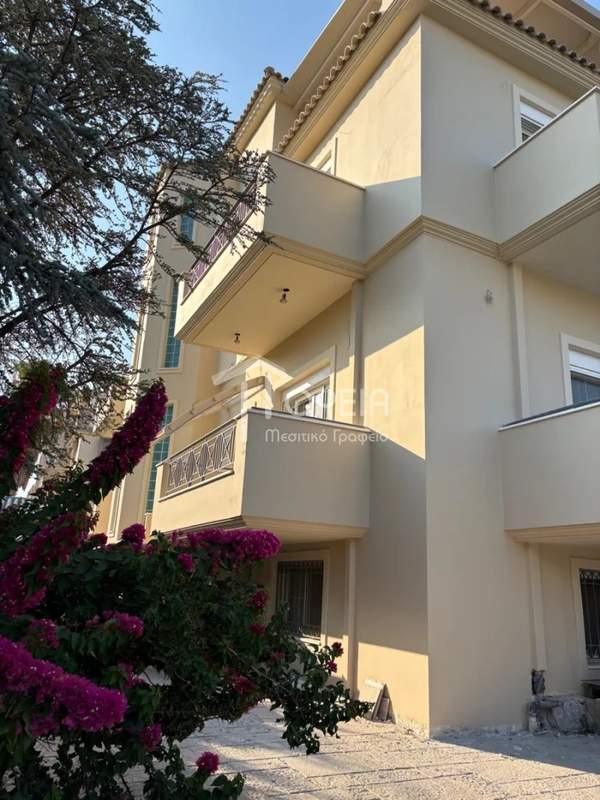 תמונת סרוניקוס, אתונה למכירה (1)