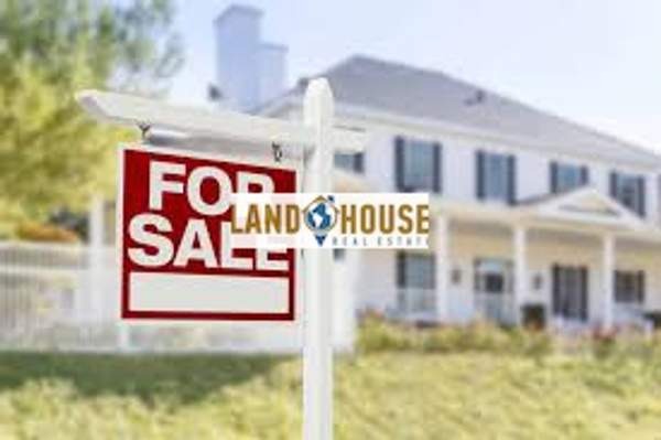 תמונת מיסיריה, רתמינון למכירה (0)