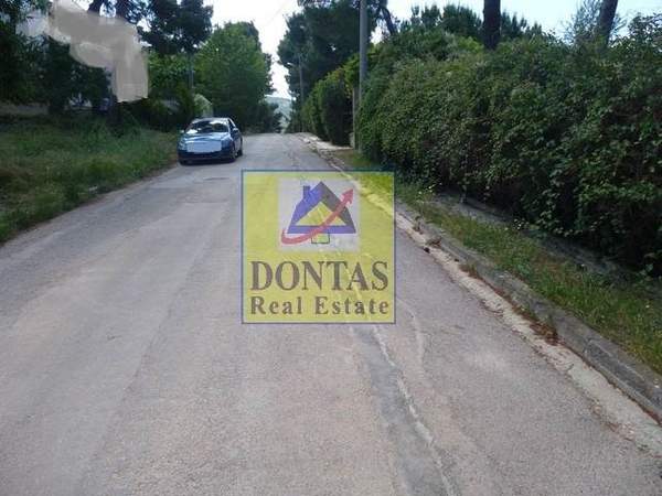 תמונת קיפיסיה, אתונה למכירה