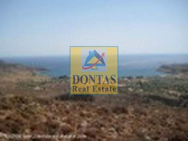 תמונת סיטיה למכירה (1)