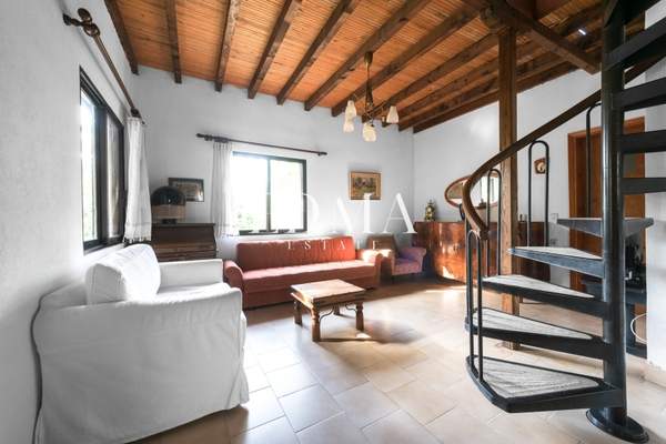 תמונת סיתוניה למכירה